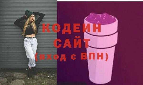 бошки Бородино